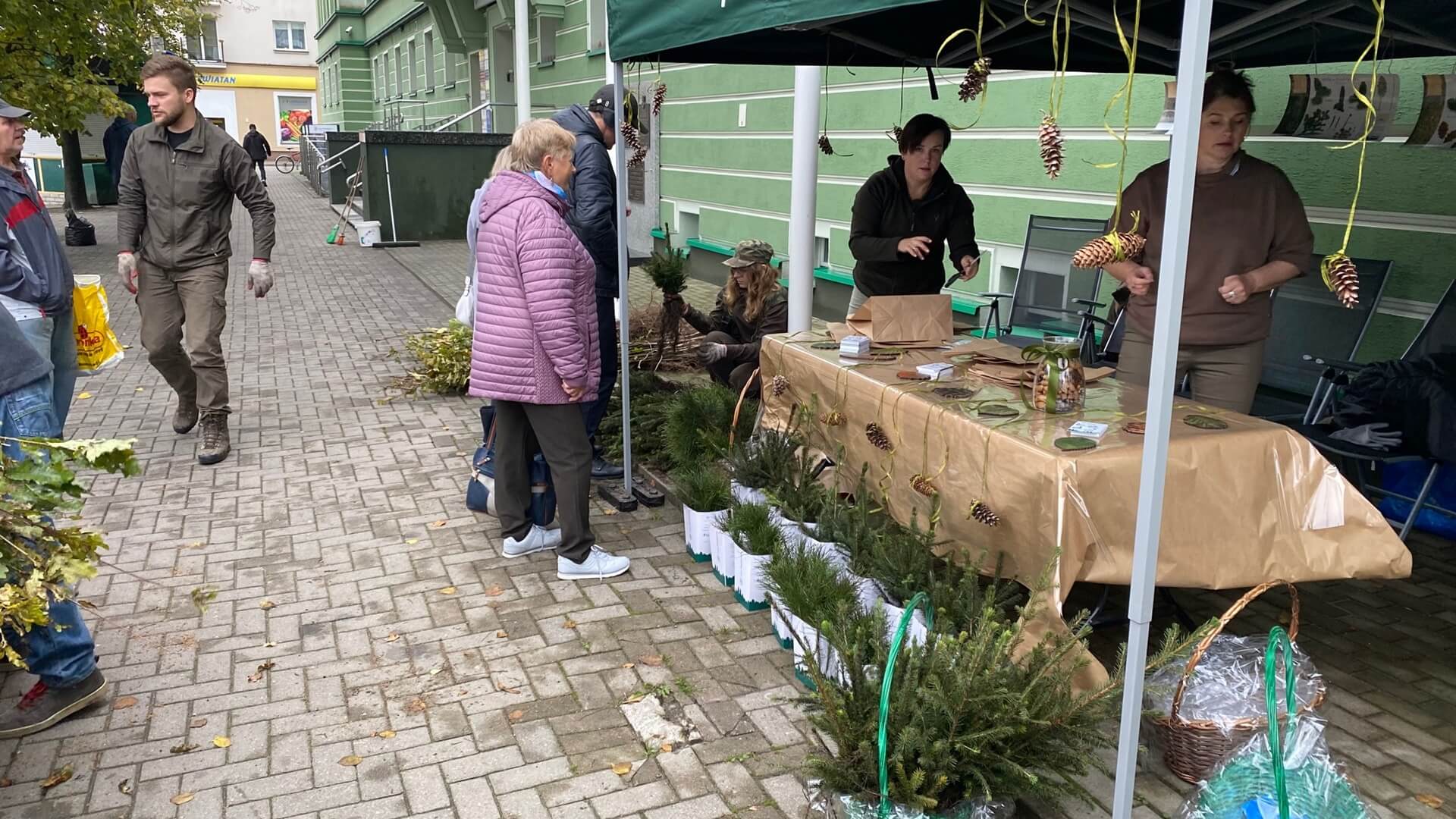 We wszystkich nadleśnictwach w Polsce trwa akcja "SadziMY"