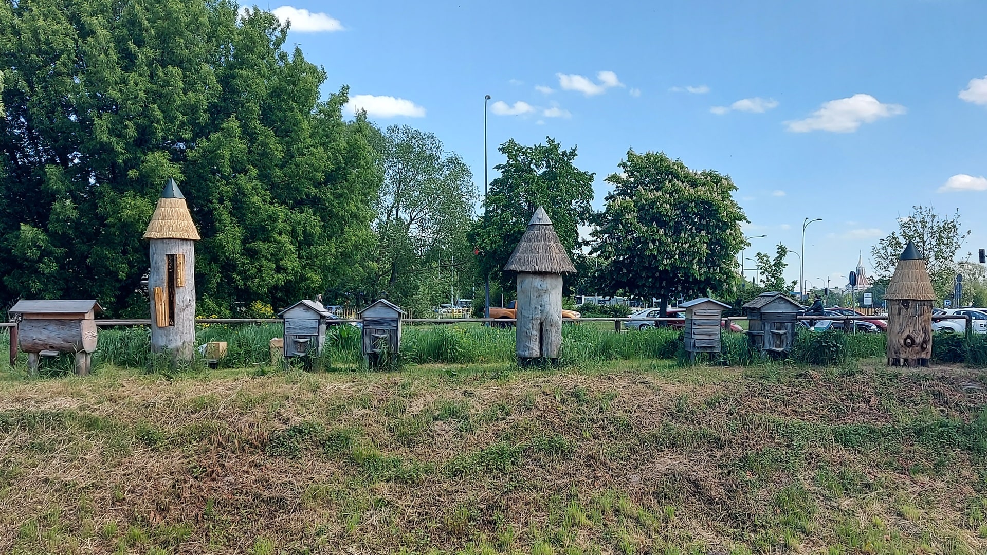 Pierwsze wiosenne miodobranie z białostockiej miejskiej pasieki