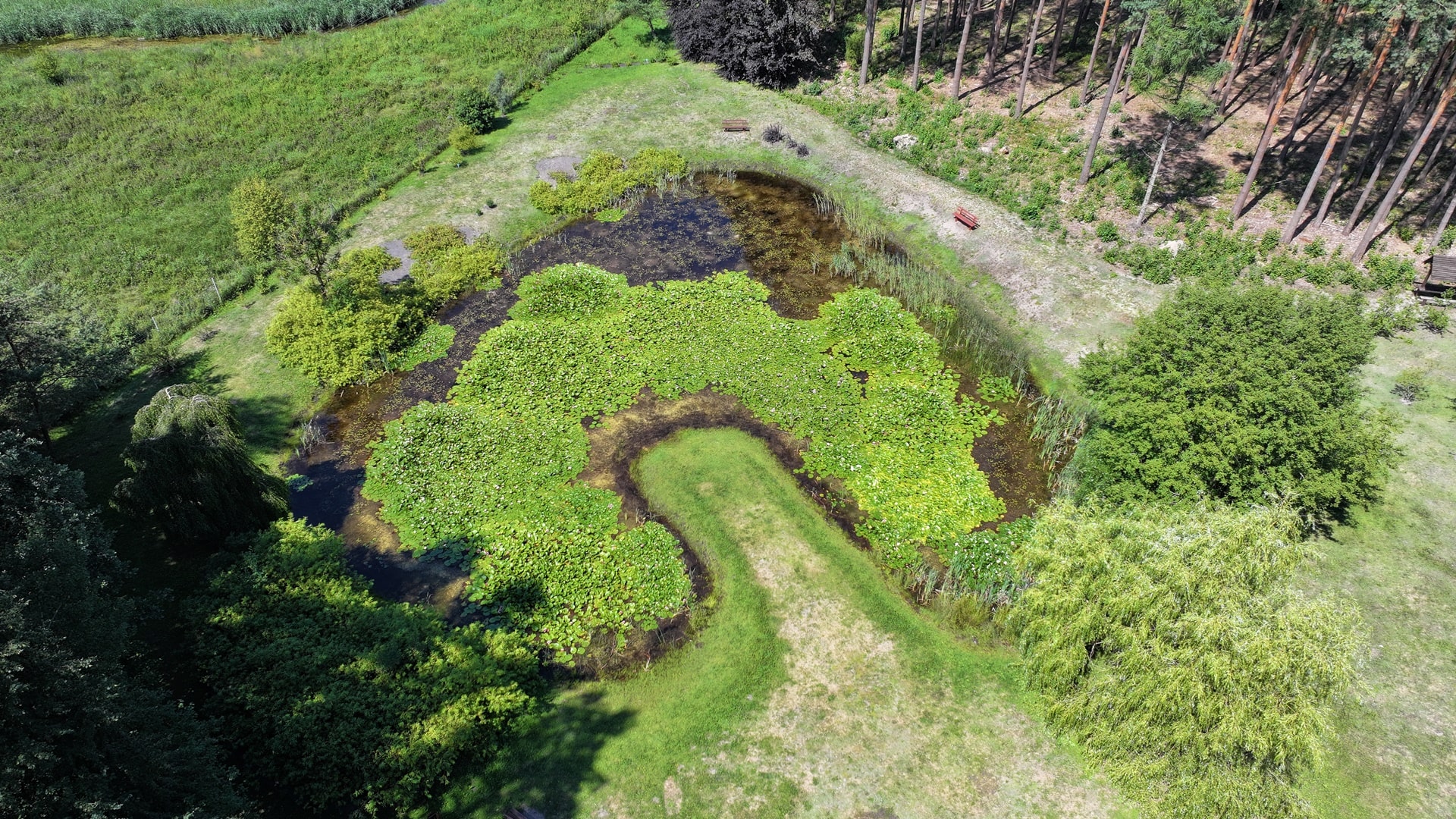 Co warto zobaczyć w Parku Krajobrazowym Puszczy Knyszyńskiej?