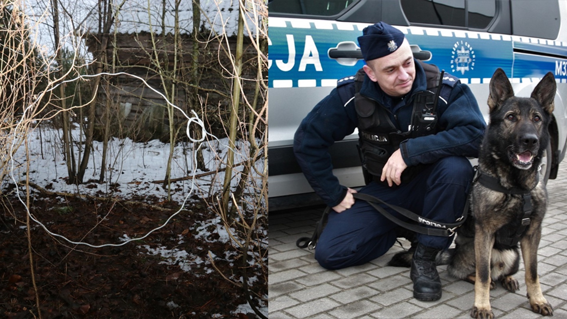 Zatrzymano dwóch mężczyzn podejrzanych o kłusownictwo - policjantom pomógł pies