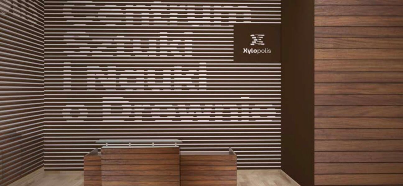 Powstanie Centrum Sztuki i Nauki o Drewnie stoi pod znakiem zapytania