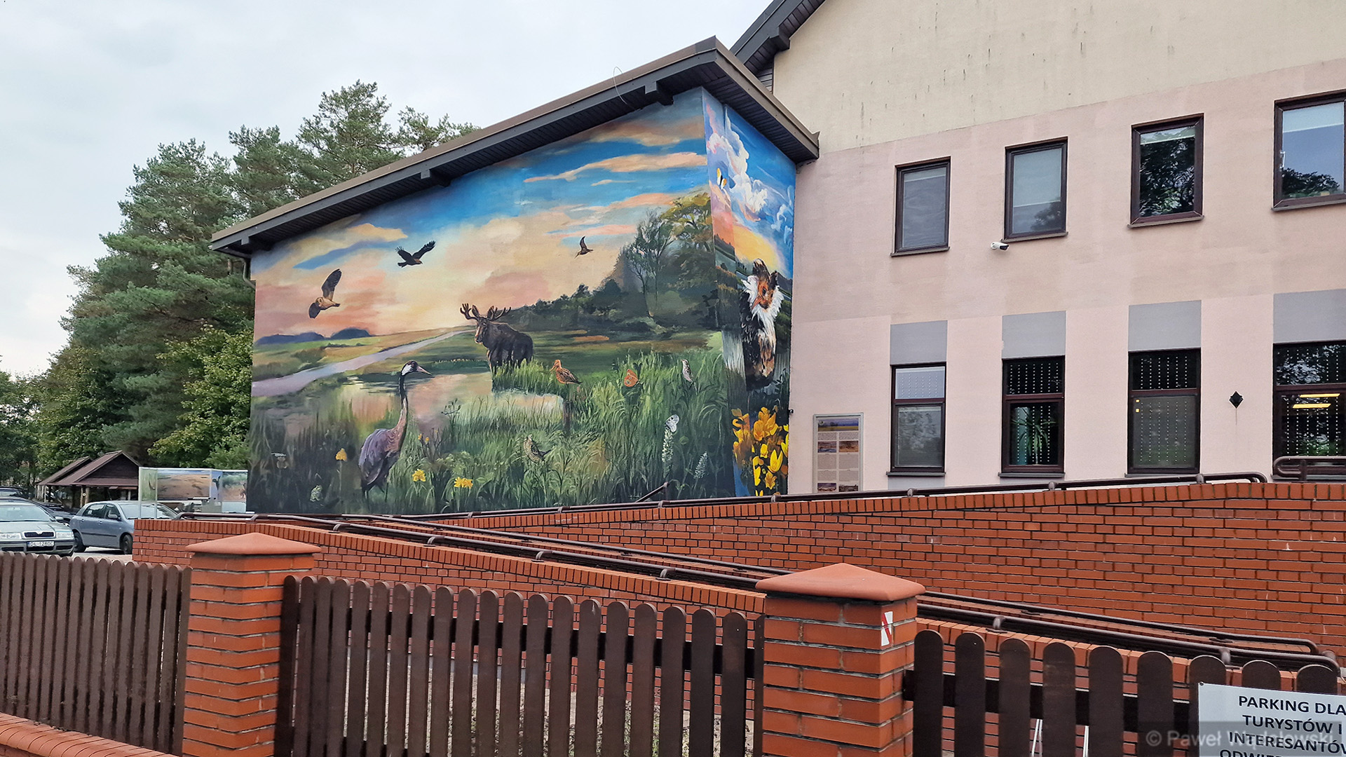 Biebrzańska przyroda na muralu w Osowcu-Twierdzy