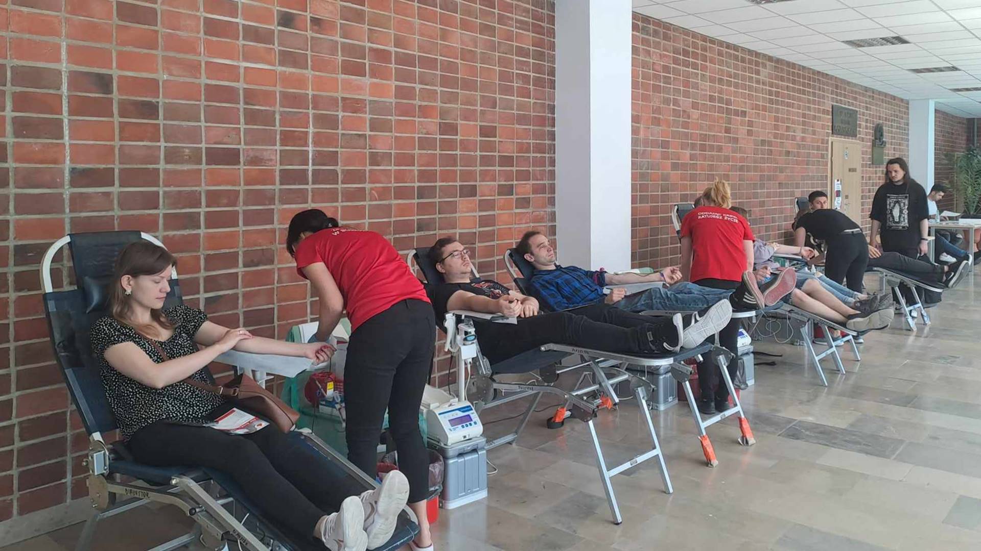 Ponad 400 osób oddało krew podczas wiosennej edycji Wampiriady