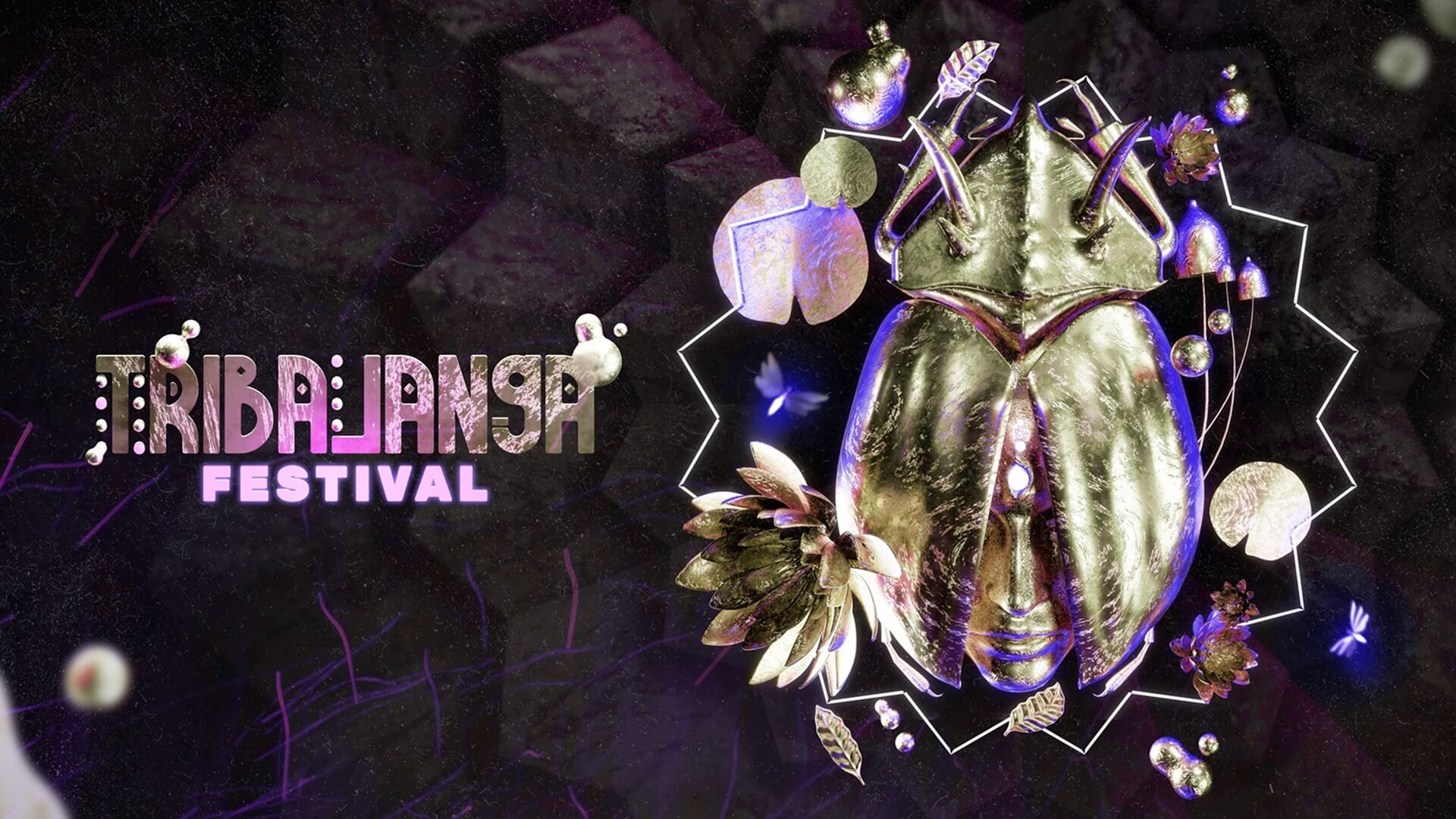 Festiwal Tribalanga - rozmowa z organizatorami Joanną Sićko i Karolem Siekierką