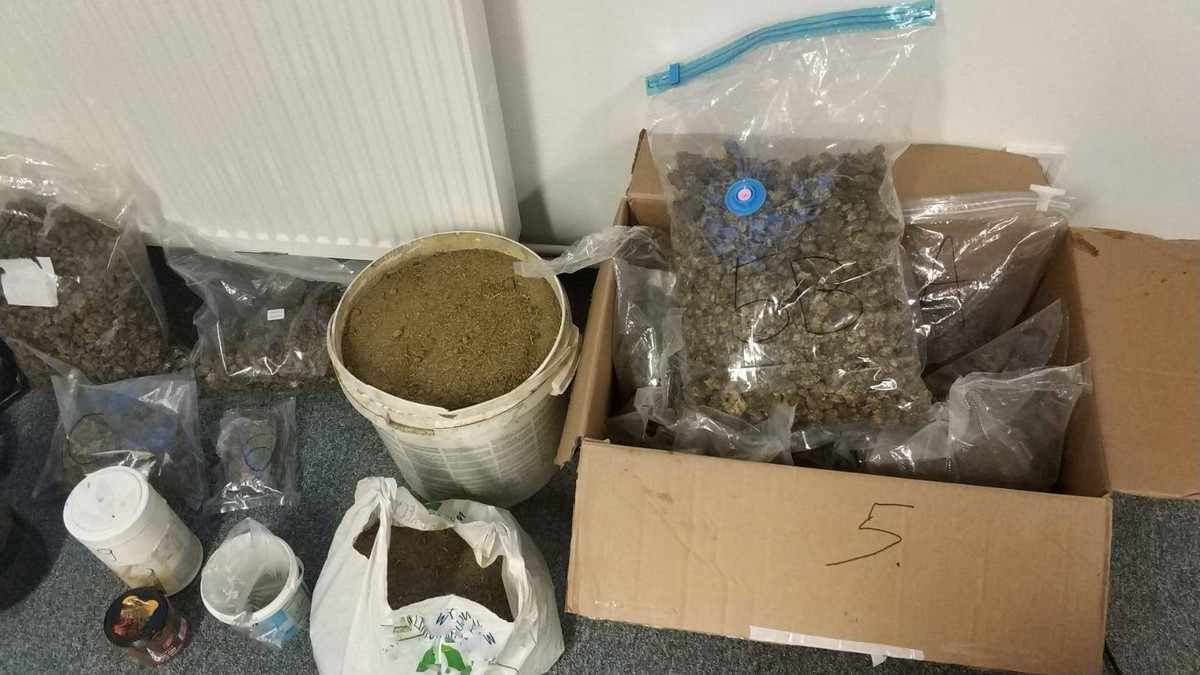 Policjanci z Sejn odnaleźli narkotyki warte ponad milion złotych