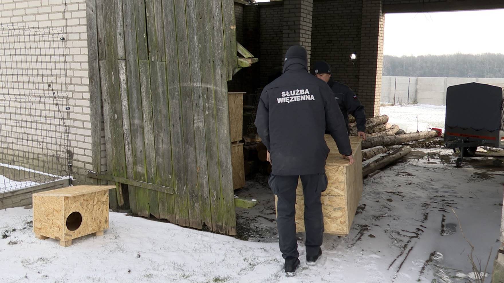 Więźniowie z Zakładu Karnego w Czerwonym Borze zbudowali budy dla psów w schroniskach