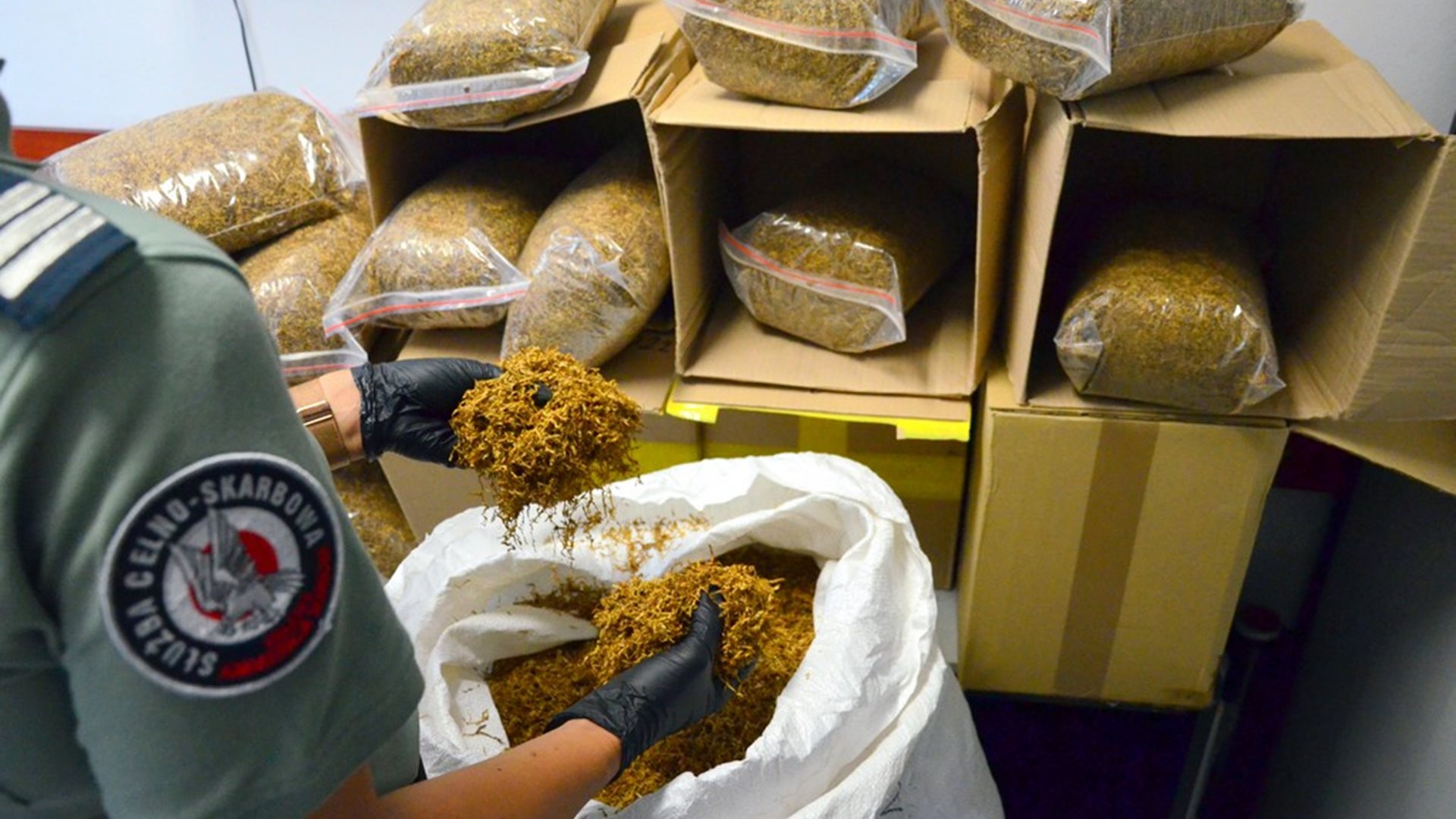 Podlascy funkcjonariusze KAS zabezpieczyli 52 kg nielegalnego tytoniu w przesyłkach kurierskich