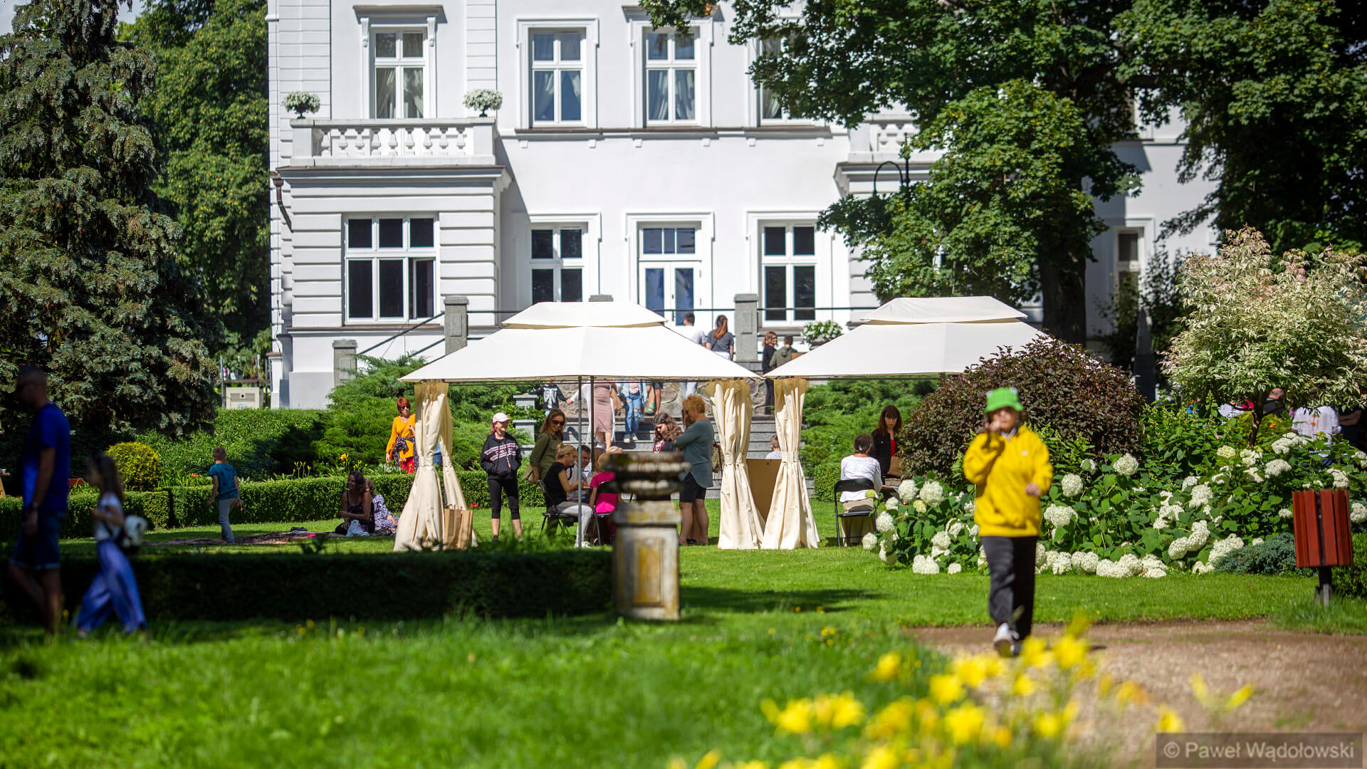 Dni Ziół Narwiańskich w Muzeum Przyrody - Dworze Lutosławskich w Drozdowie [zdjęcia]