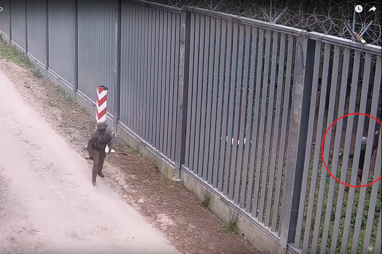 Straż Graniczna:  coraz większa liczba niebezpiecznych incydentów na polsko-białoruskiej granicy