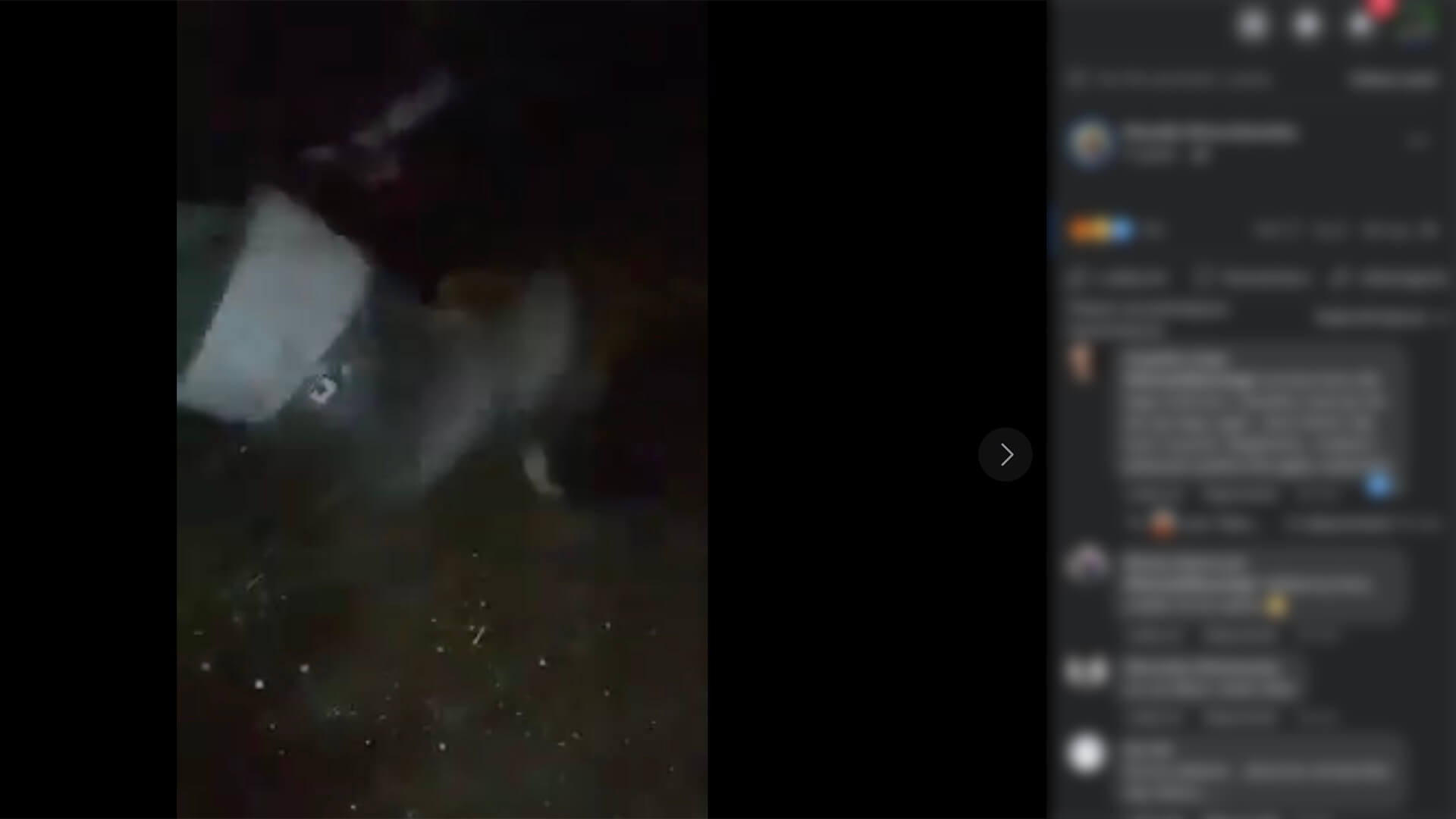 Dwójka nastolatków z gminy Szczuczyn udostępniła w Internecie wideo, na którym znęca się nad psem [wideo]