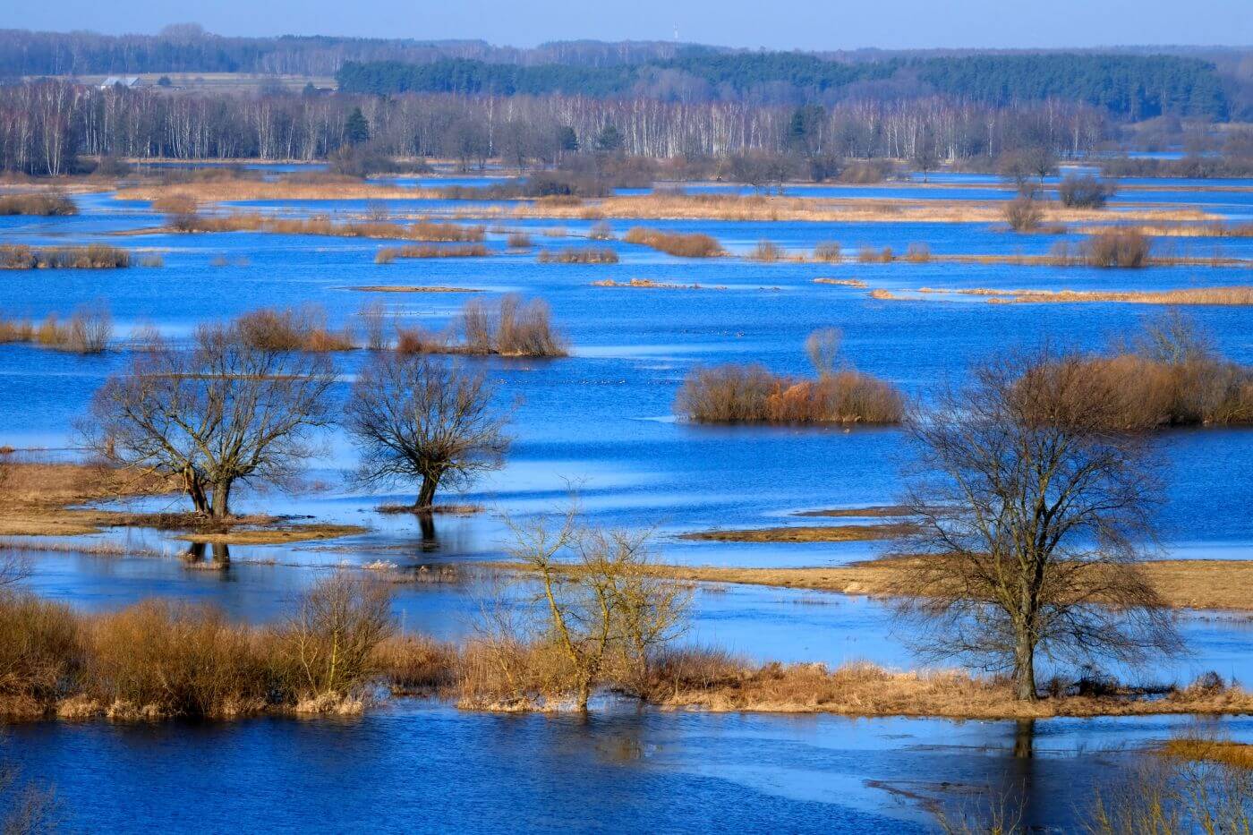 2024 to rok krajobrazu w Biebrzańskim Parku Narodowym