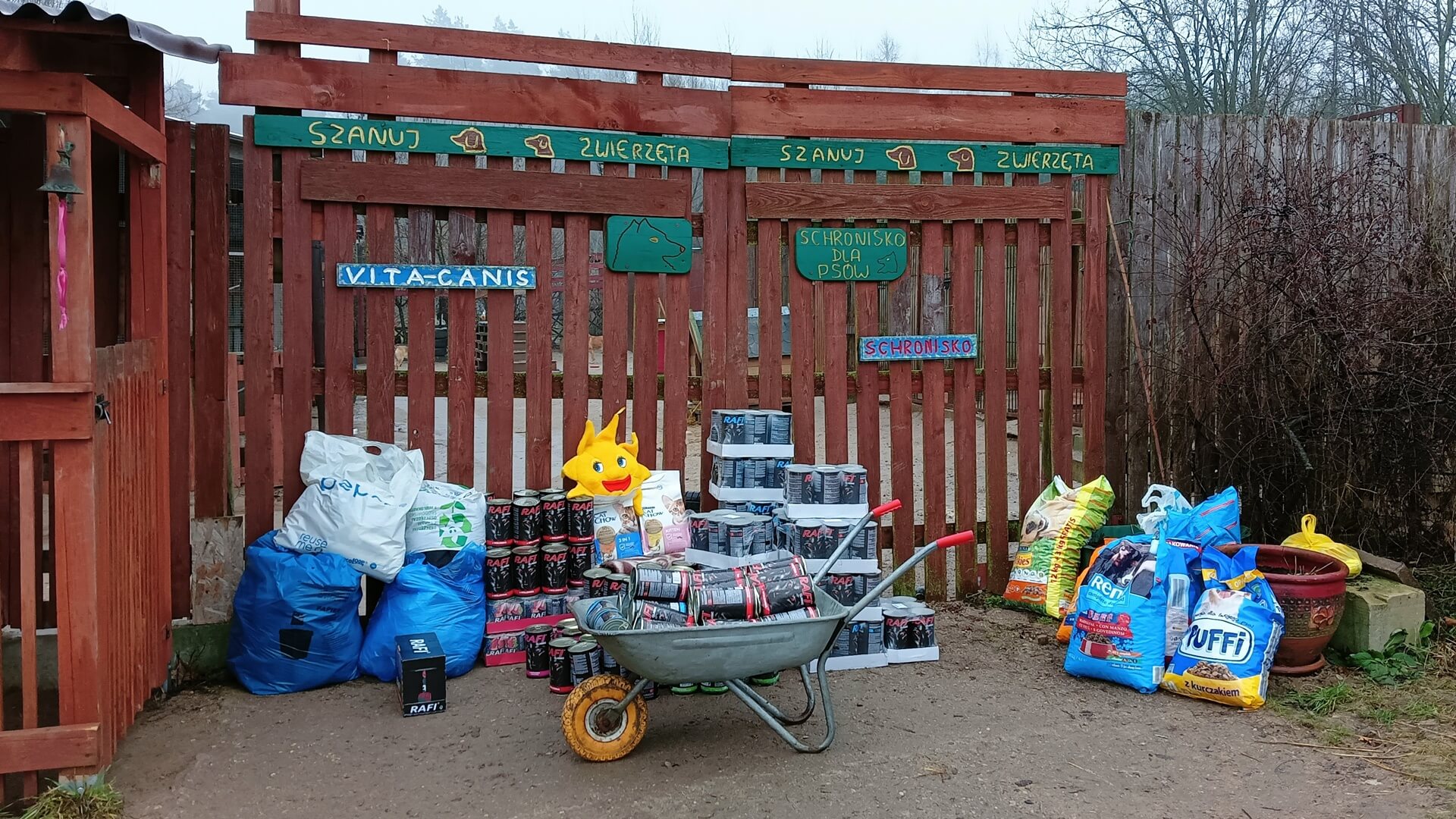 Schronisko dla zwierząt w Sokółce apeluje o pomoc