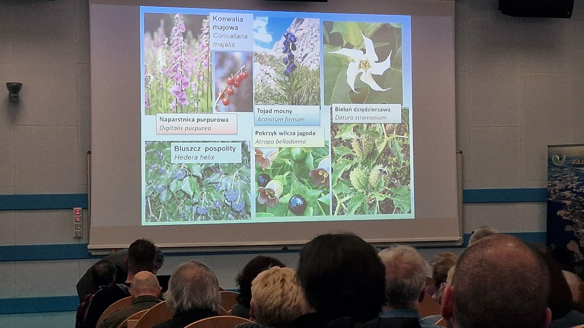 Trwa Wszechnica Biebrzańska - przyrodnicy mówią o gatunkach roślin i zwierząt, które mogą być niebezpieczne