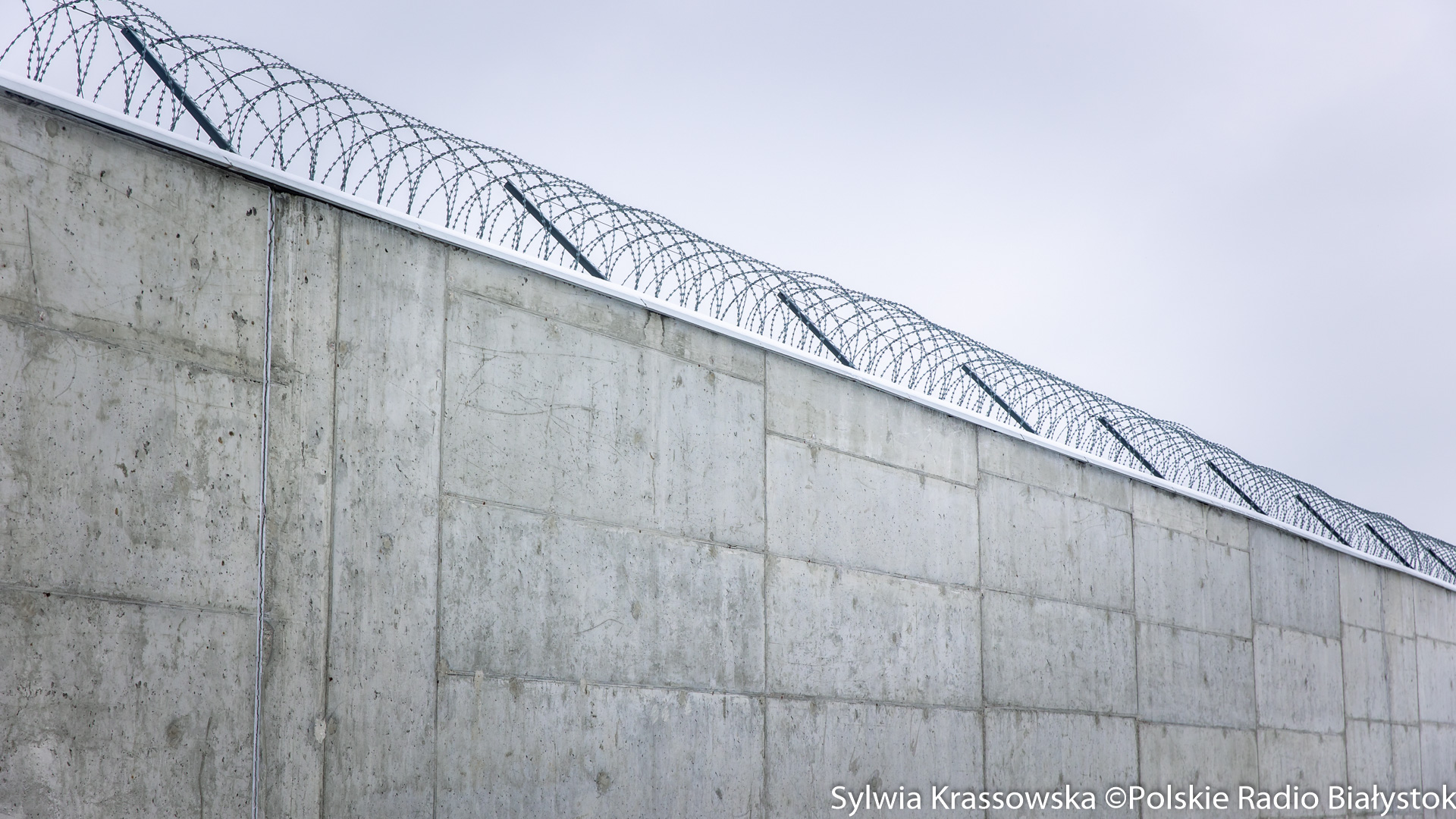 Białostoczanin odpowie za znęcanie się nad psem; szczeniaka wyrzucił z balkonu
