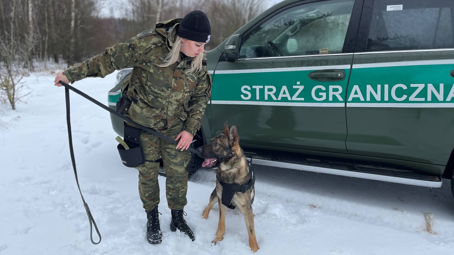 W Straży Granicznej służbę rozpoczął... owczarek niemiecki [wideo]