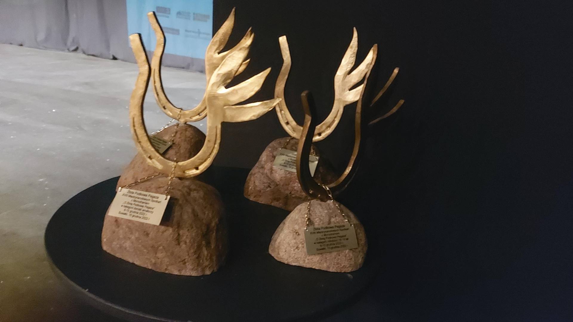 Aktorzy z całej Polski rozpoczynają zmagania „O Złotą Podkowę Pegaza”