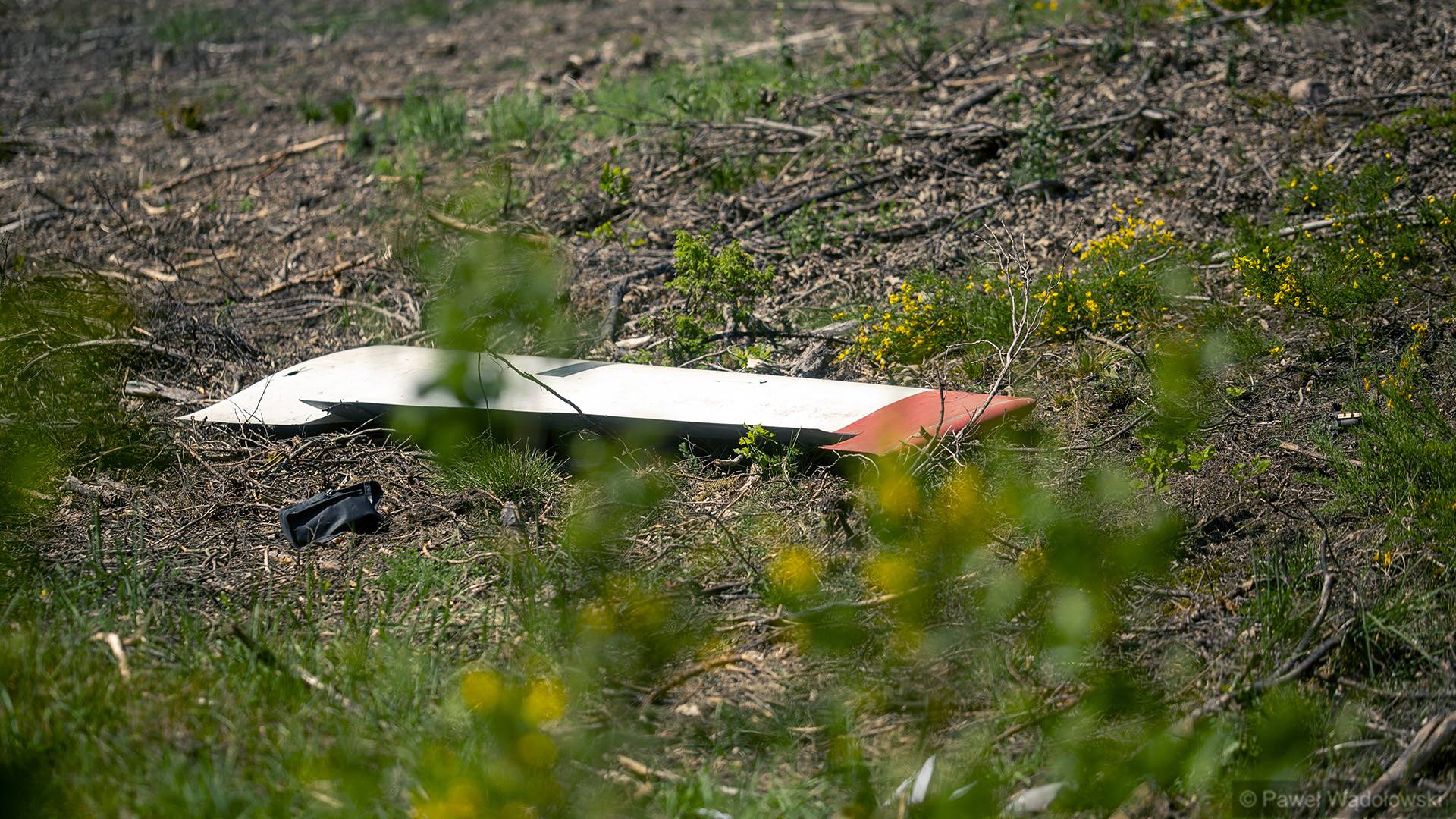 W Czerwonym Borze trwają ćwiczenia wojska i służb ratowniczych Renegade/SAREX 24