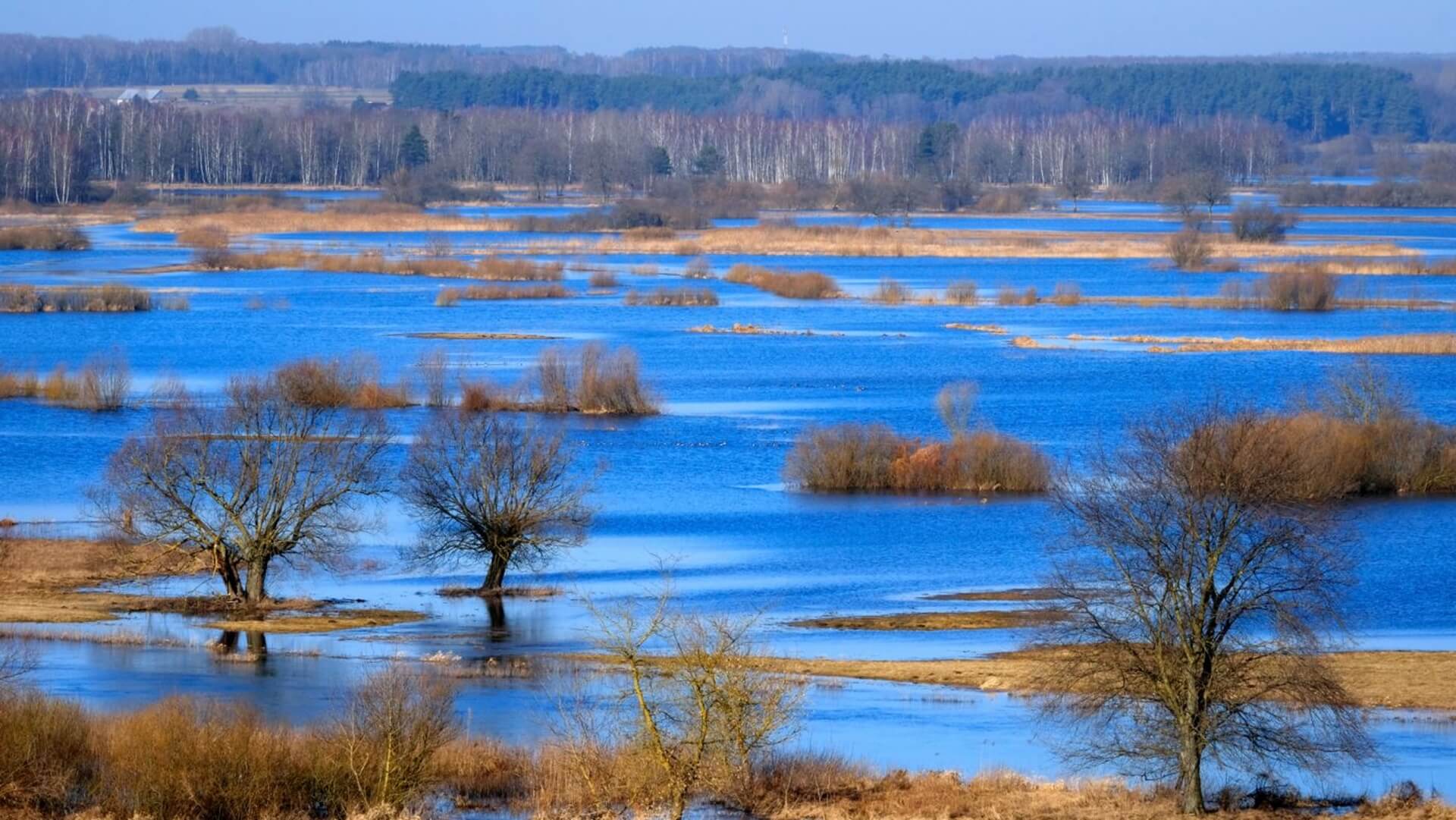 Z biletem w portfelu - Biebrzański Park Narodowy i przeloty ptaków