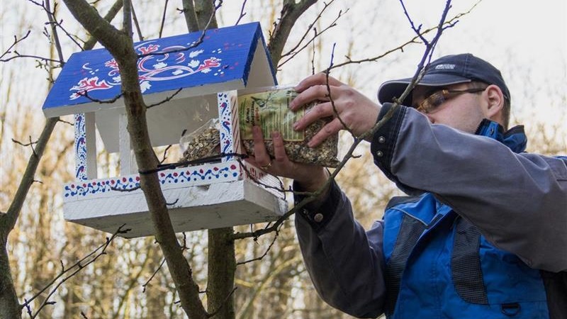 Dokarmiać czy nie dokarmiać?