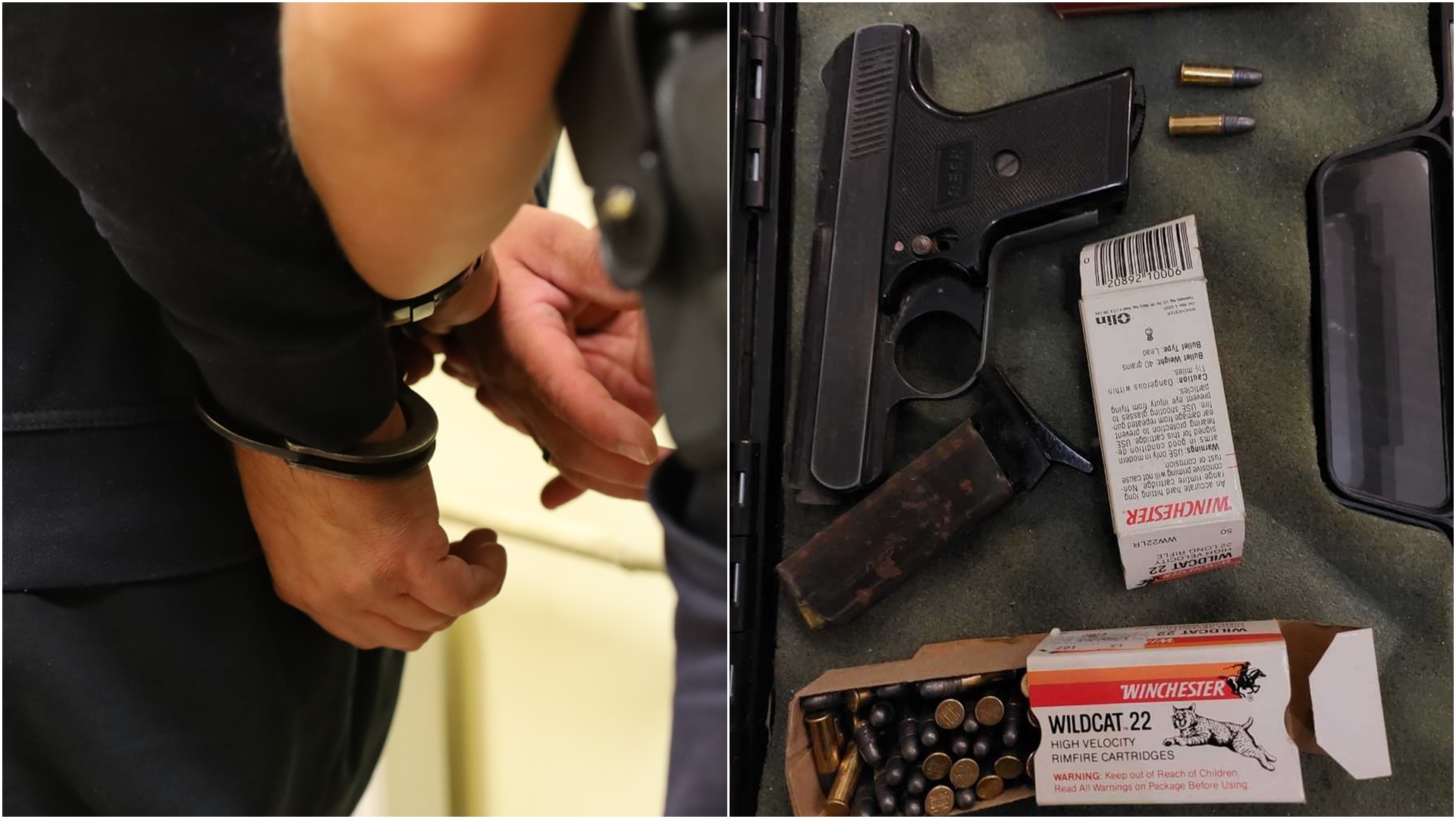 52-latek z Zabłudowa zastrzelił kota sąsiadki. Grozi mu nawet 8 lat więzienia