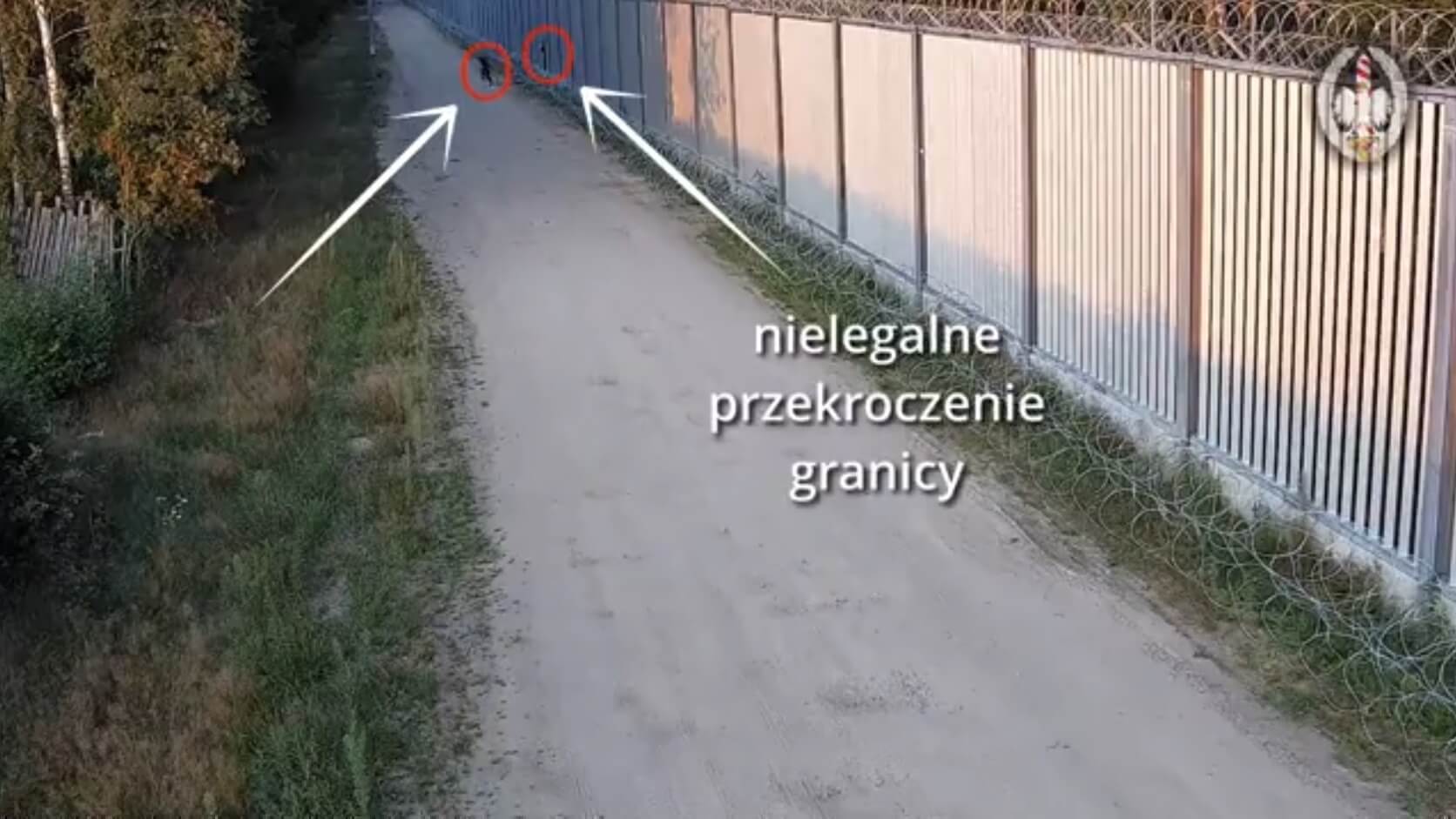 Straż Graniczna publikuje nagrania, jak zatrzymuje cudzoziemców przy polsko-białoruskiej granicy [wideo]