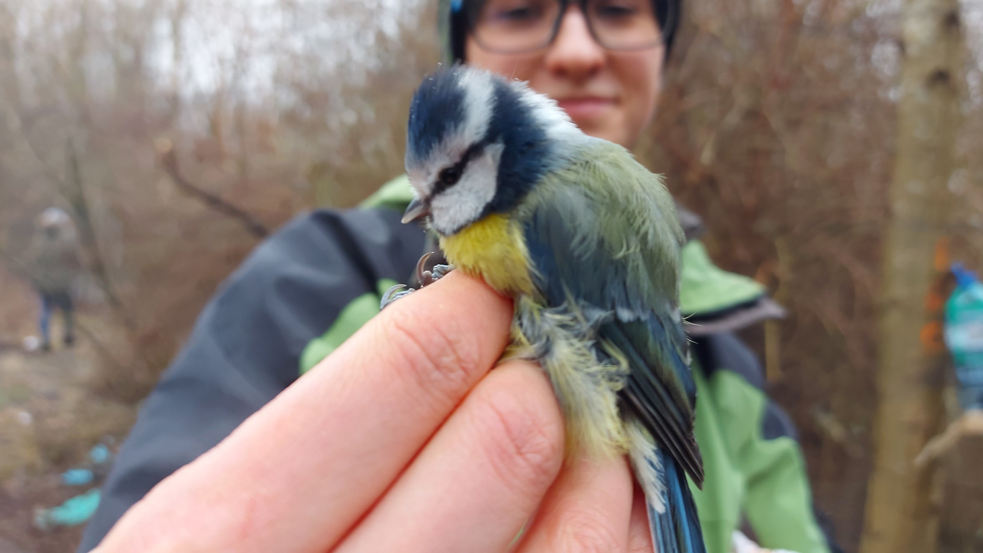 Białostoccy studenci biorą udział w akcji dokarmiania i obrączkowania ptaków
