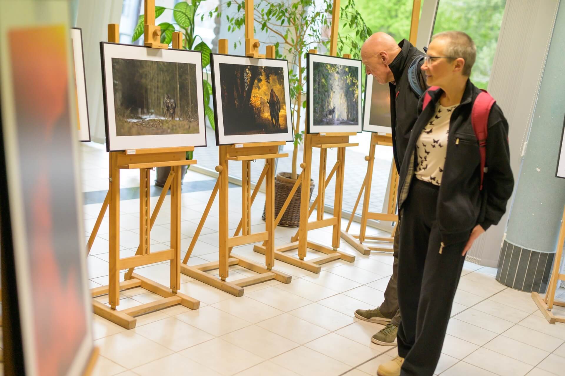 Piękno podlaskiej natury można podziwiać na wystawie fotograficznej w Białowieży