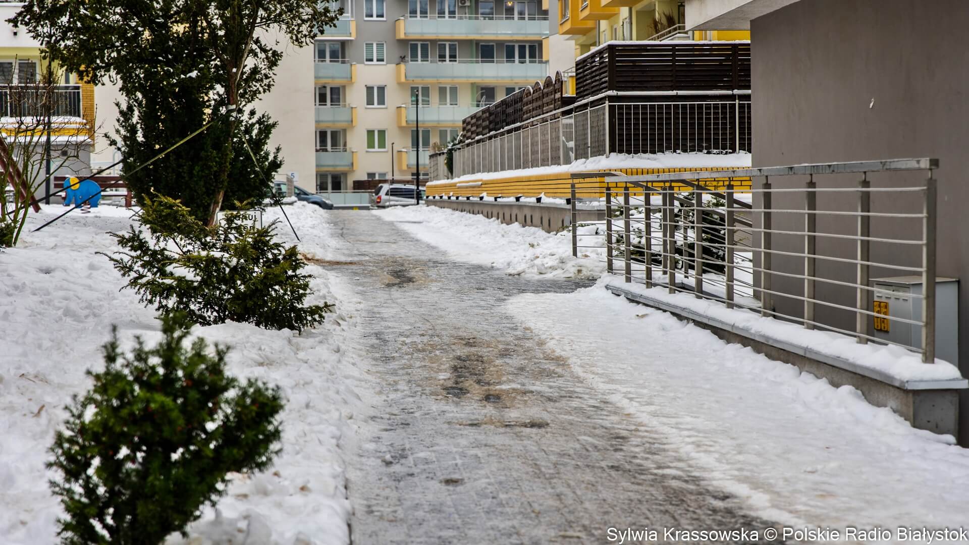 W Podlaskiem nie ma już gołoledzi, drogi przejezdne, temperatura na plusie [wideo]