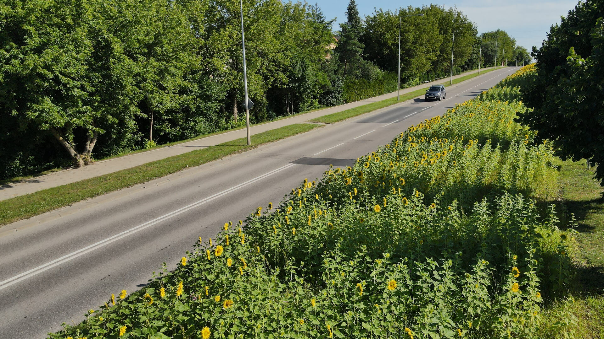 W przyszłym tygodniu rozpocznie się przebudowa ulicy Raginisa w Białymstoku