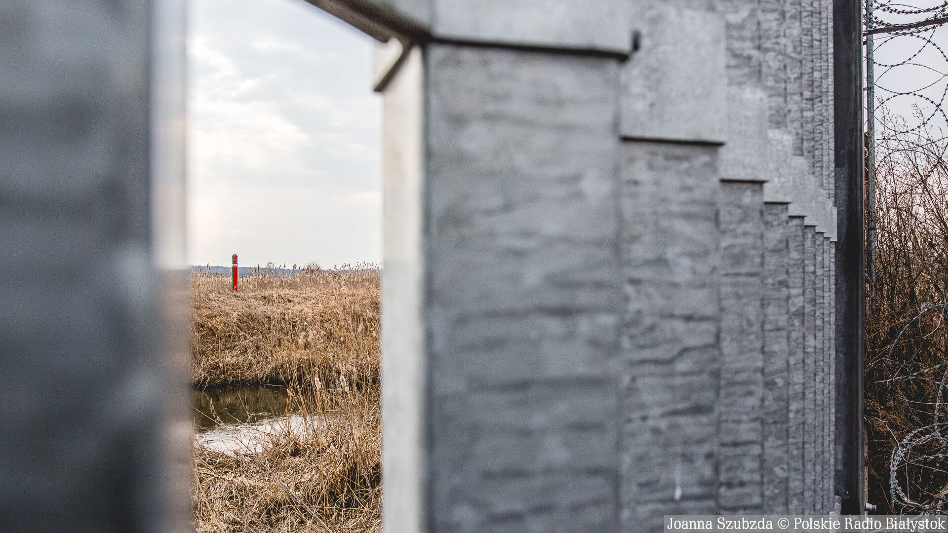 Zapora na granicy a przyroda. Naukowcy analizują wpływ na zwierzęta i roślinność