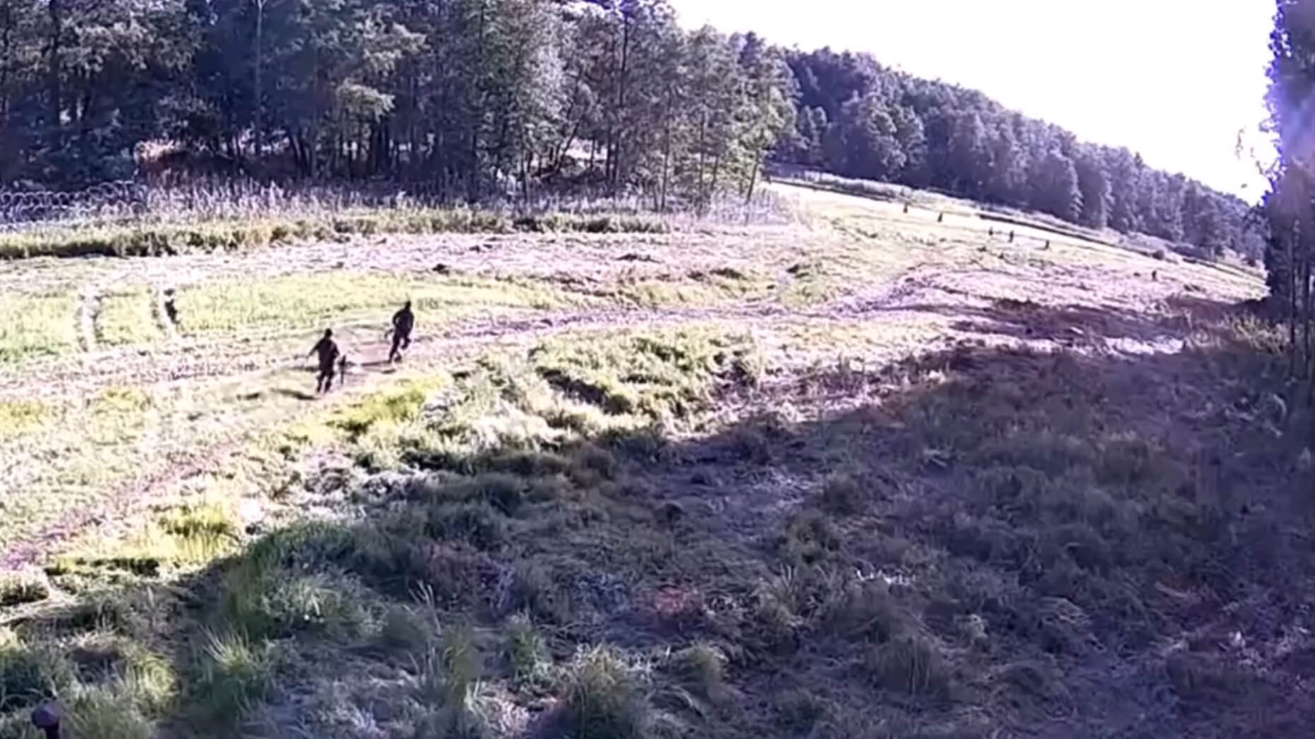 Straż Graniczna zatrzymała grupę Syryjczyków po alertach z bariery elektronicznej [wideo]