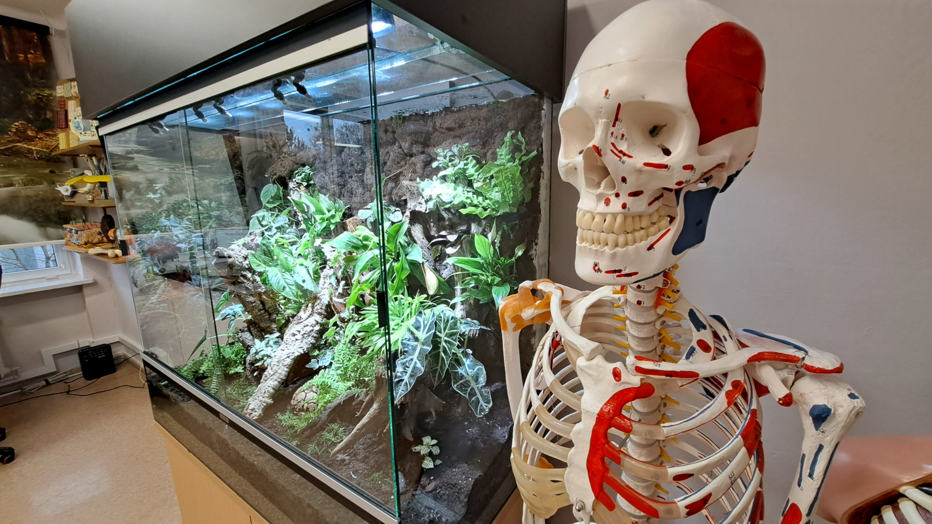 W SP19 w Białymstoku działa już nowoczesna eko-pracownia