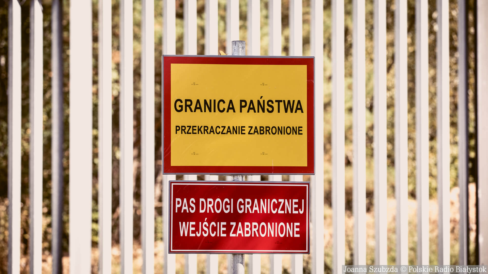 Migranci znów zaatakowali polski patrol na granicy z Białorusią, uszkodzili dwa samochody policji