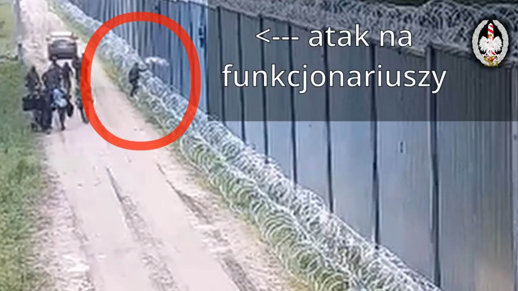 Cudzoziemcy zaatakowali polskie służby przy granicy z Białorusią [wideo]