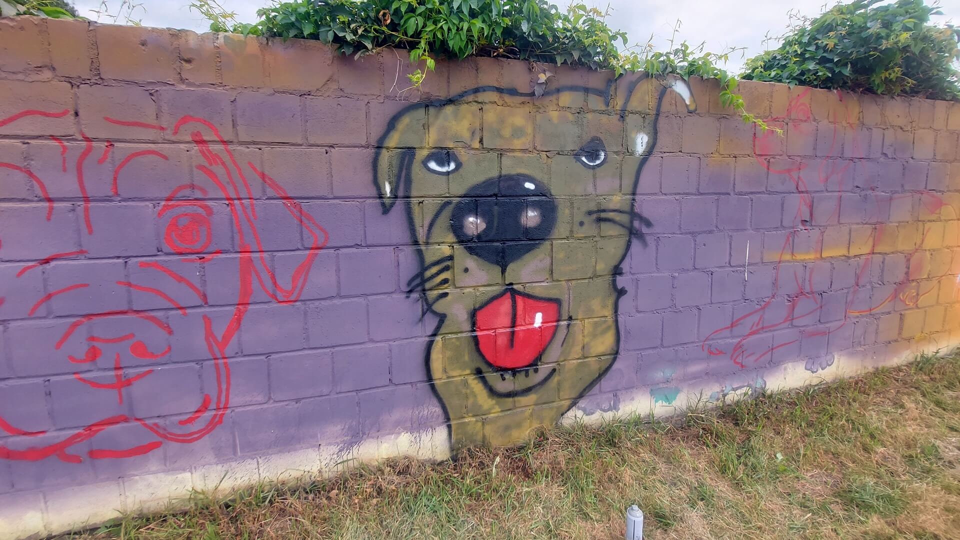 Kolorowy mural z psami zdobi ogrodzenie schroniska pod Augustowem