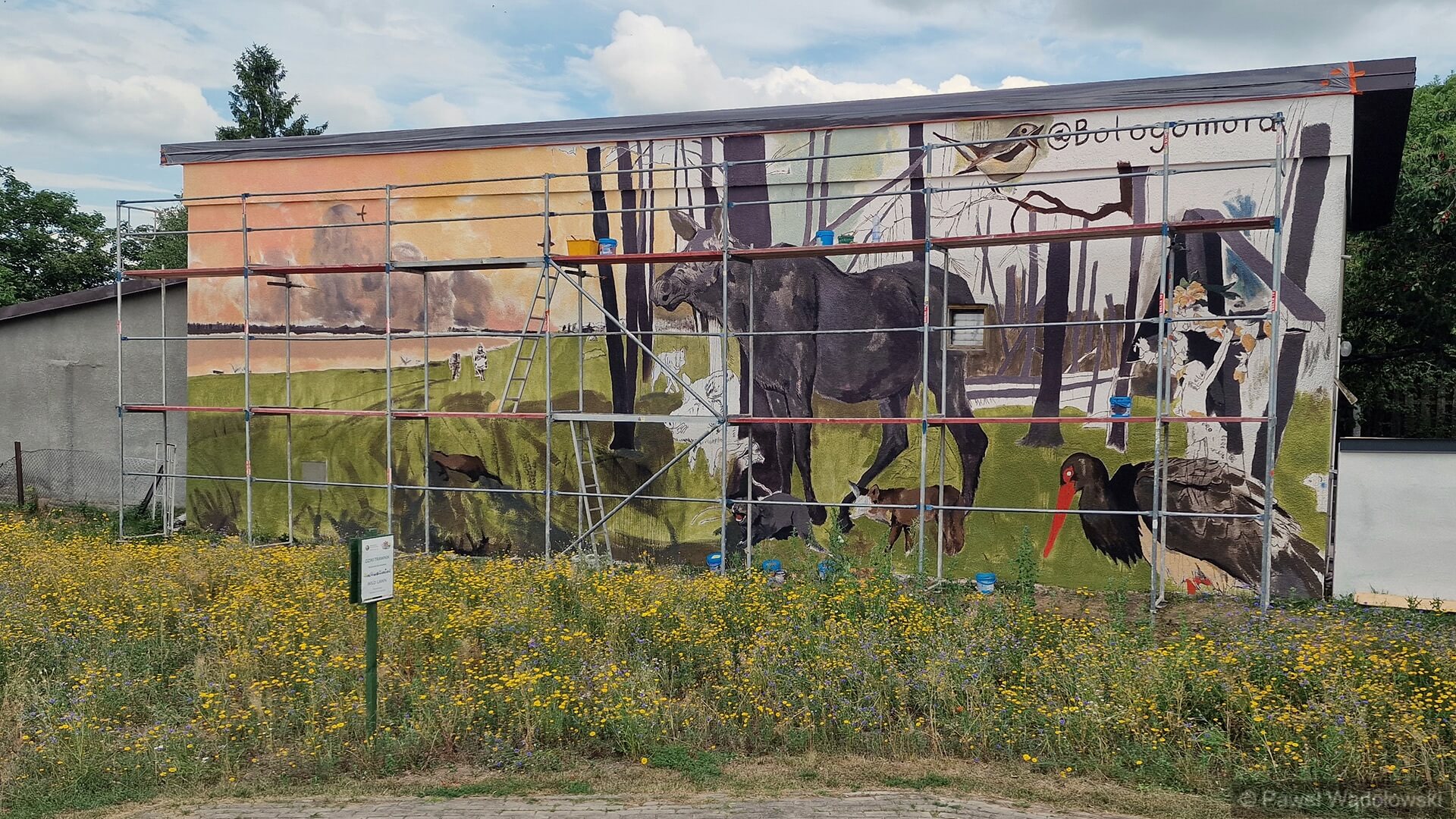 Pożar w Biebrzańskim Parku Narodowym na muralu w Goniądzu