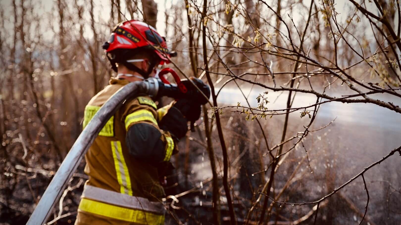 Monitoring z dronów, dodatkowe siły z Polski - stan nad Biebrzą po nocy [wideo]