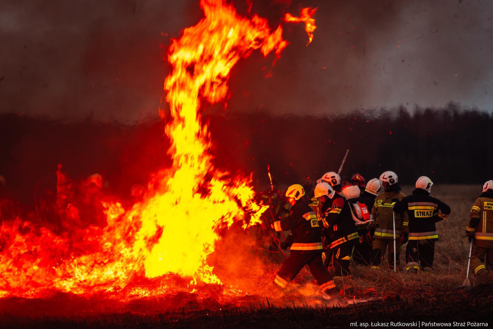 Pożar w Biebrzańskim Parku Narodowym ugaszony. Pomagało 120 strażaków i nowe technologie [zdjęcia]