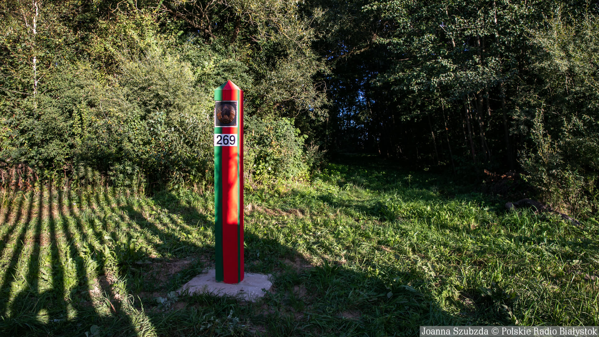 91 kolejnych cudzoziemców próbowało nielegalnie dostać się do Polski z Białorusi