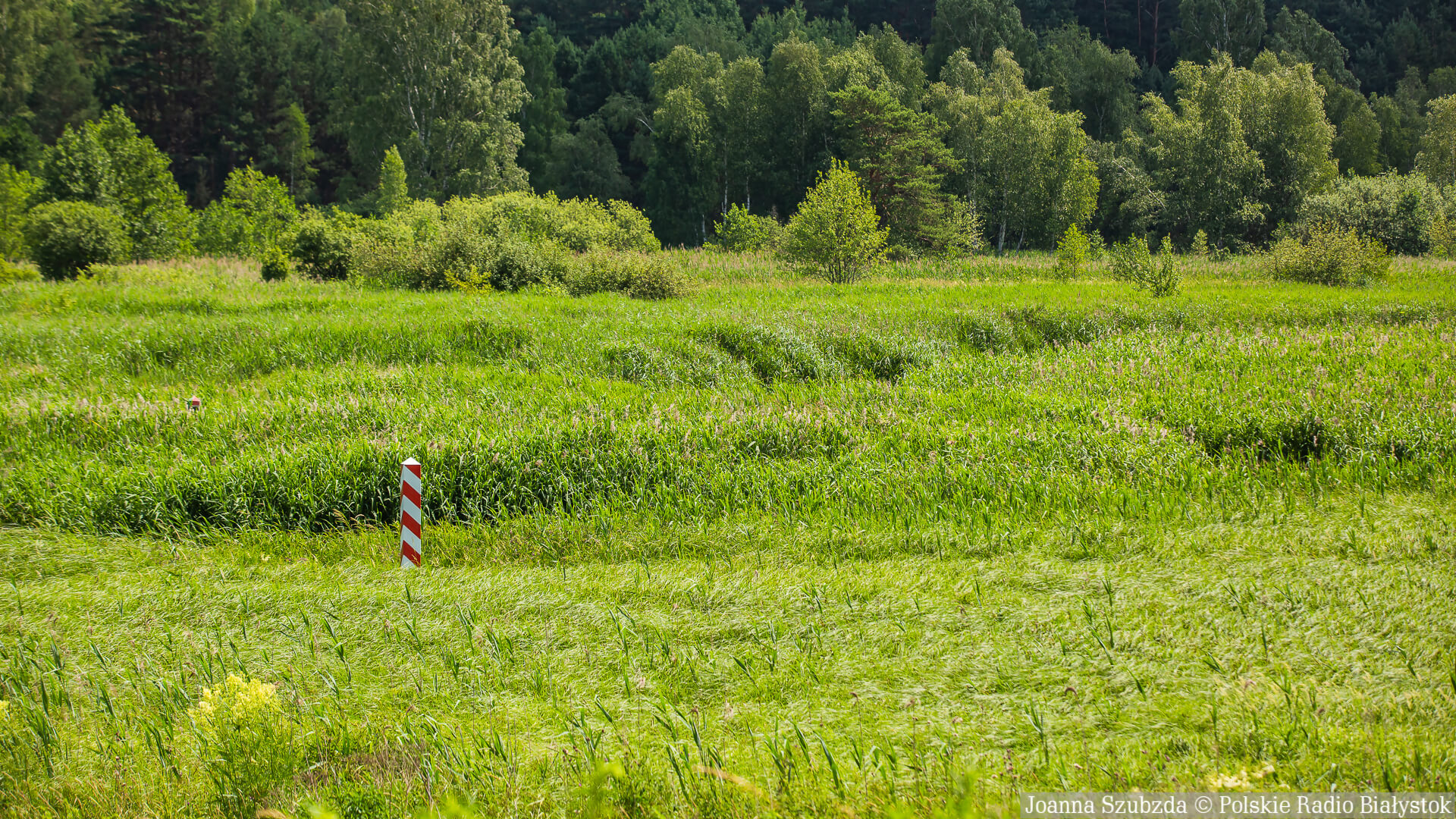 Ciała dwóch osób znaleziono w rzece Świsłocz na polsko-białoruskim pograniczu