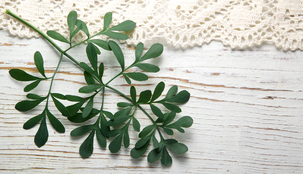 GŁOS POLSKICH LITWINÓW / KALBA LENKIJOS LIETUVIAI