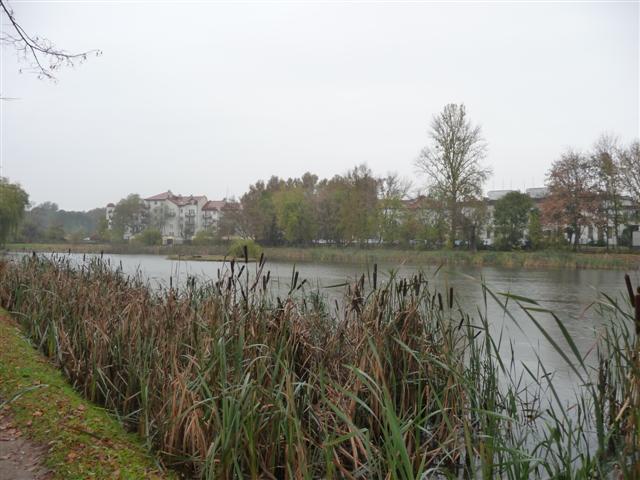 Autorzy projektu rewitalizacji stawów przy ul. Mickiewicza chcieliby uczestniczyć w jego realizacji