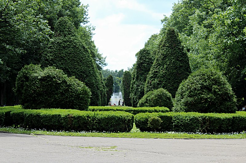 Konkursy, pokazy filmów i edukacyjne gry komputerowe w białostockim parku Planty