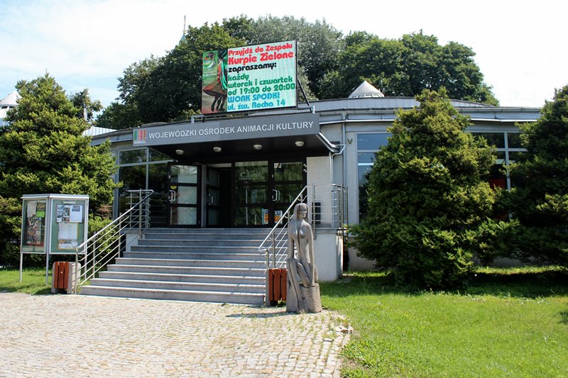 Prawie 200 tysięcy złotych dotacji na cyfrowe upowszechnianie zbiorów otrzymał WOAK