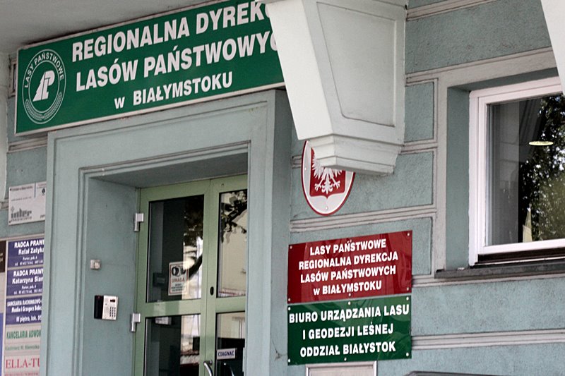 Podlaskie nadleśnictwa dostosują się do stanowiska Generalnej Dyrekcji Lasów Państwowych ws. orzeczenia Trybunału Sprawiedliwości