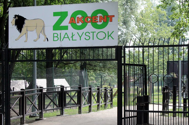Odwiedzając zoo, nie dokarmiajmy zwierząt
