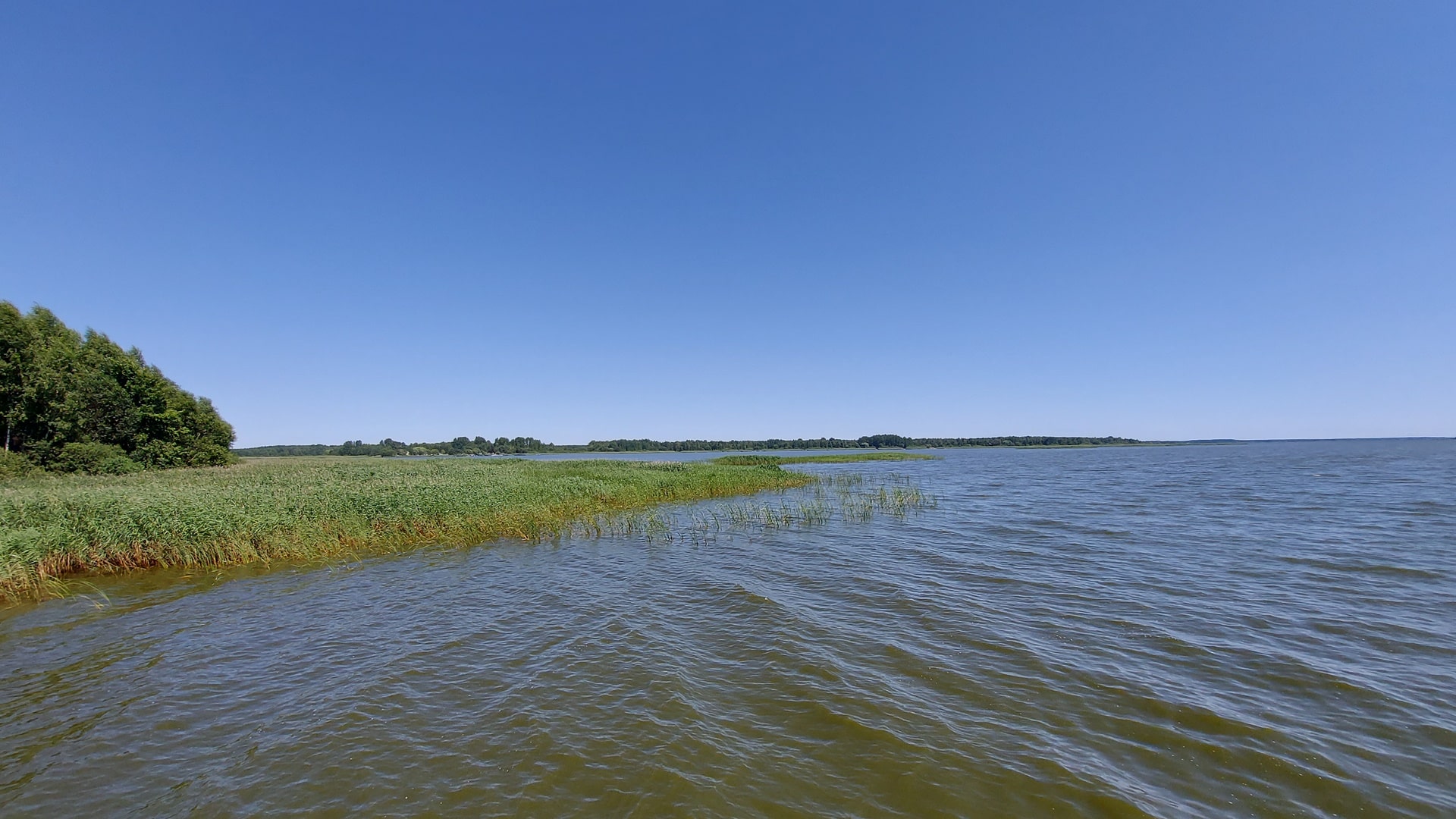 Mieszkańcy przeciwko fermie drobiu przy Zalewie Siemianówka. Burmistrz też