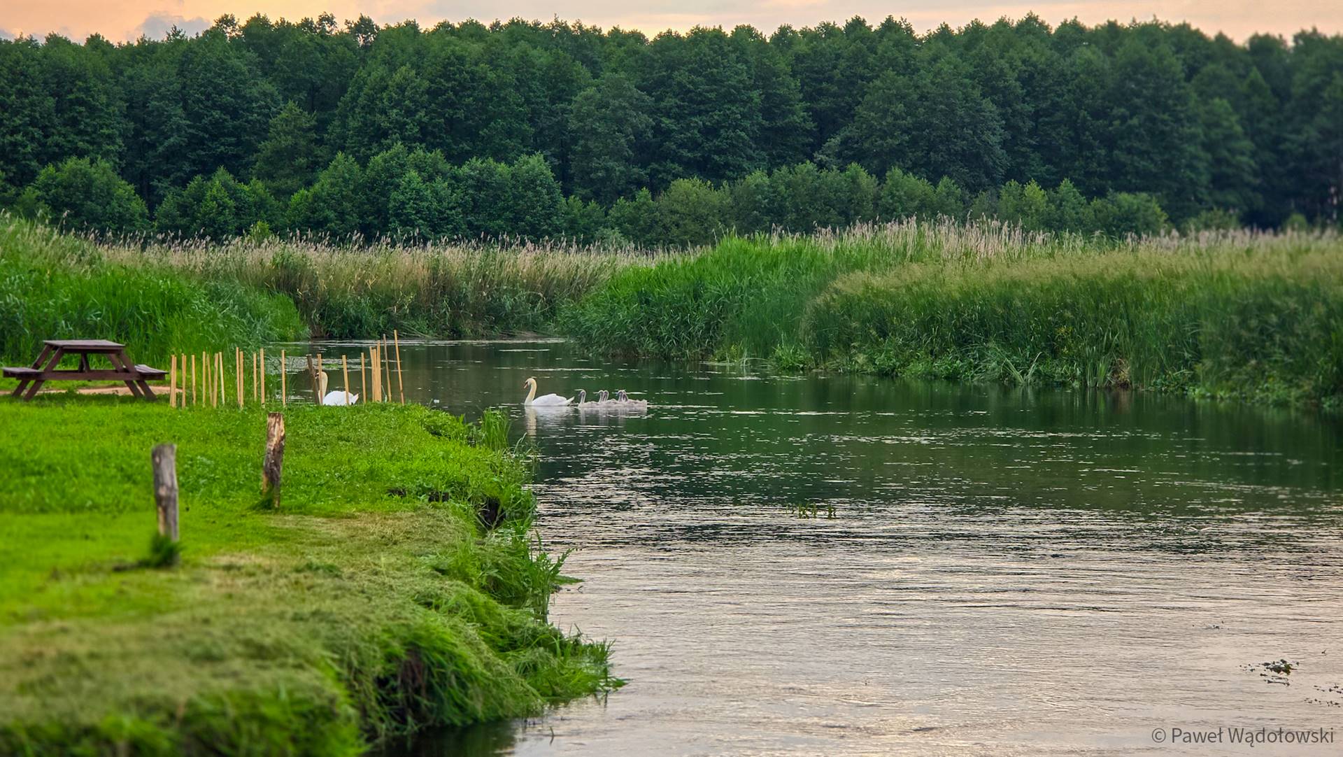 Turystyczne atrakcje Biebrzańskiego Parku Narodowego