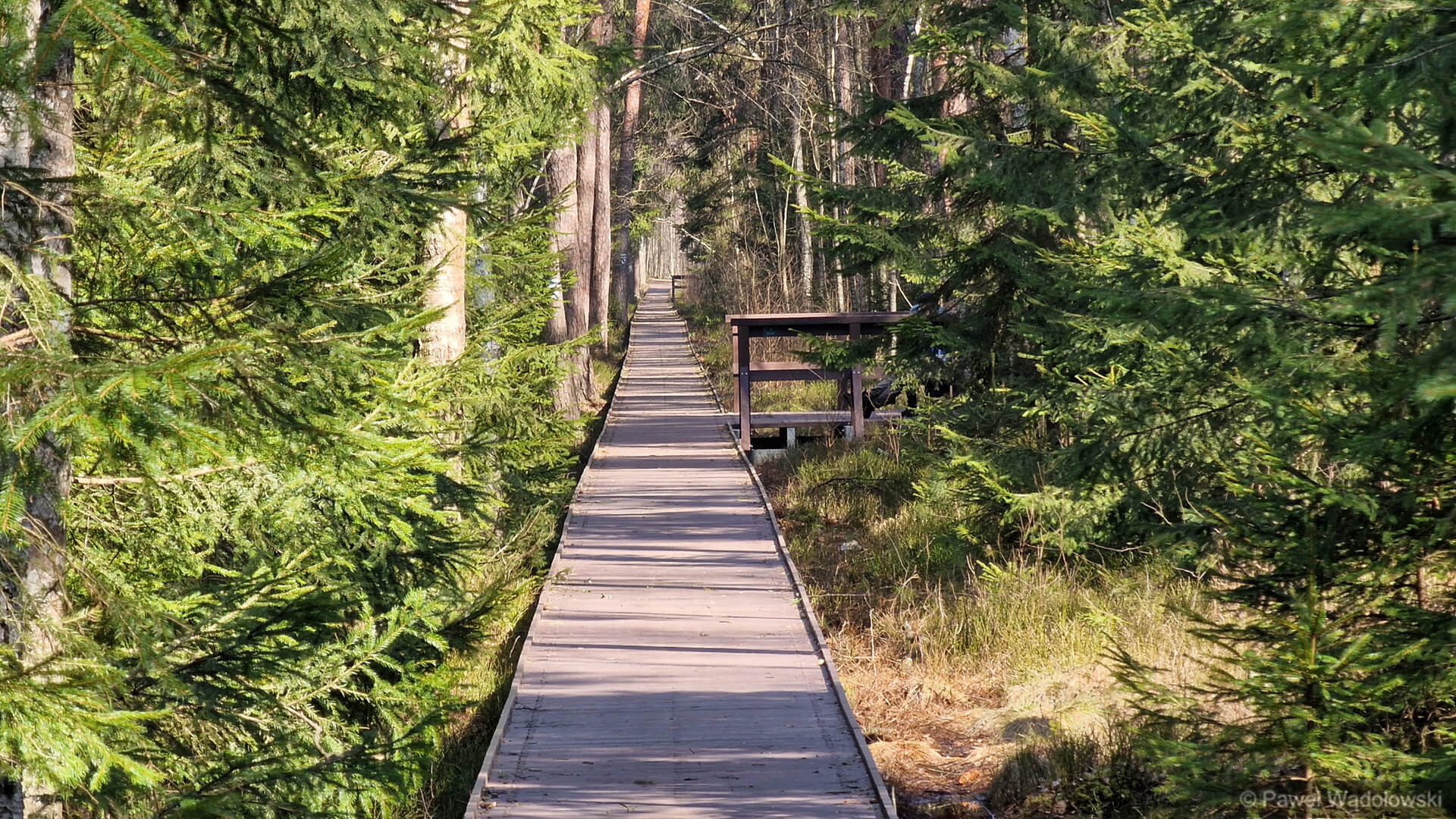 Aktualne informacje, bilety i mapy - punkt informacyjny w Osowcu-Twierdzy otwarty codziennie