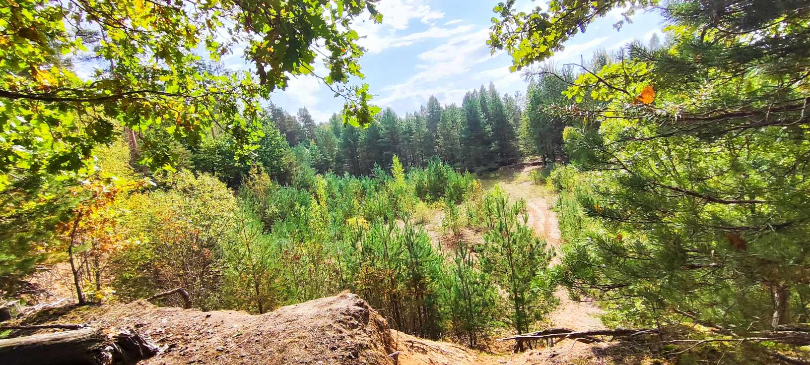 Czy Podlaski Bon Turystyczny pomoże miejscowej branży turystycznej 23.04.2025